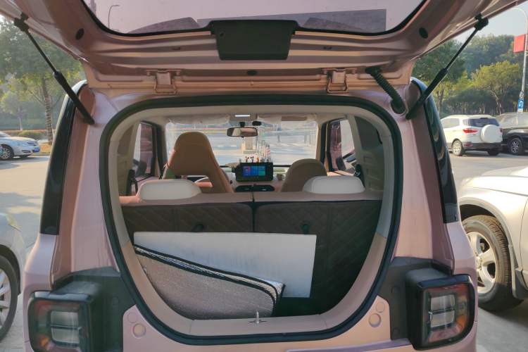 Used  Panda 2023 Panda Mini 200km Dynamic Bear