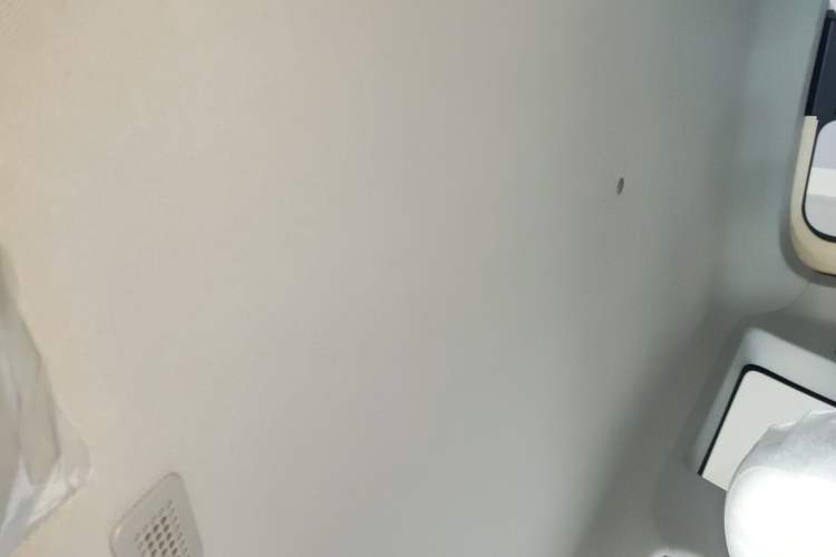 Used  Panda 2025 210 km – Yuanqi Bear
