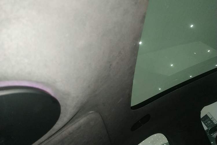 Used  07 2024 Max Extended-Range Edition