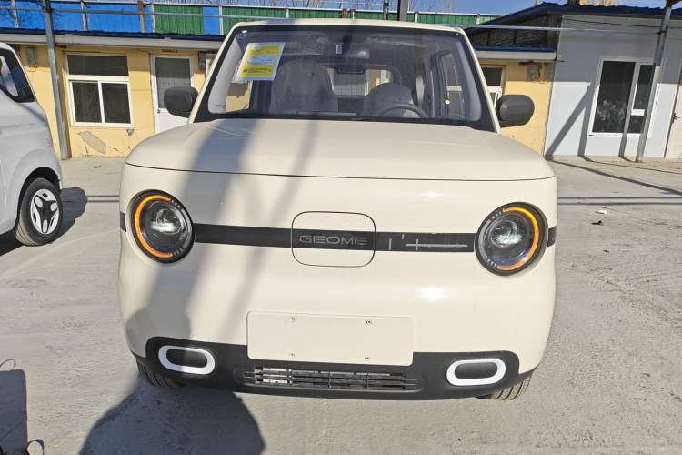 Used  Panda 2025 210 km – Yuanqi Bear
