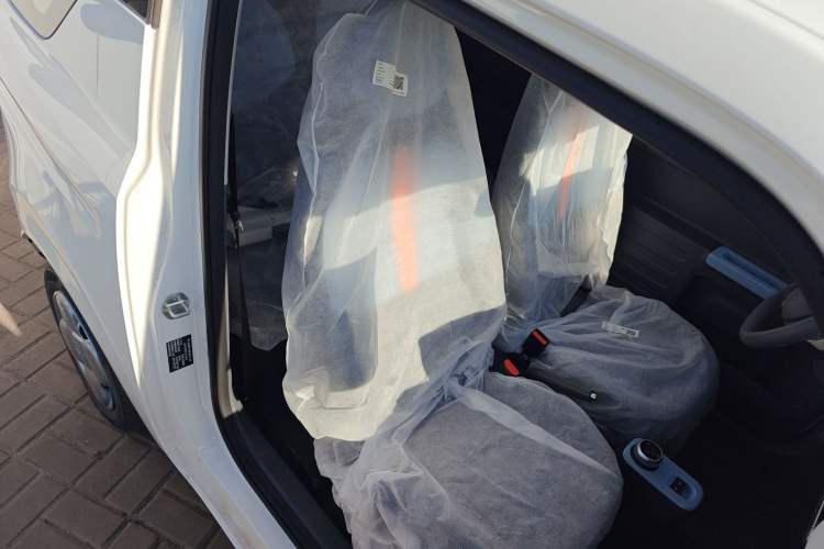 Used  Panda 2025 210 km – Yuanqi Bear