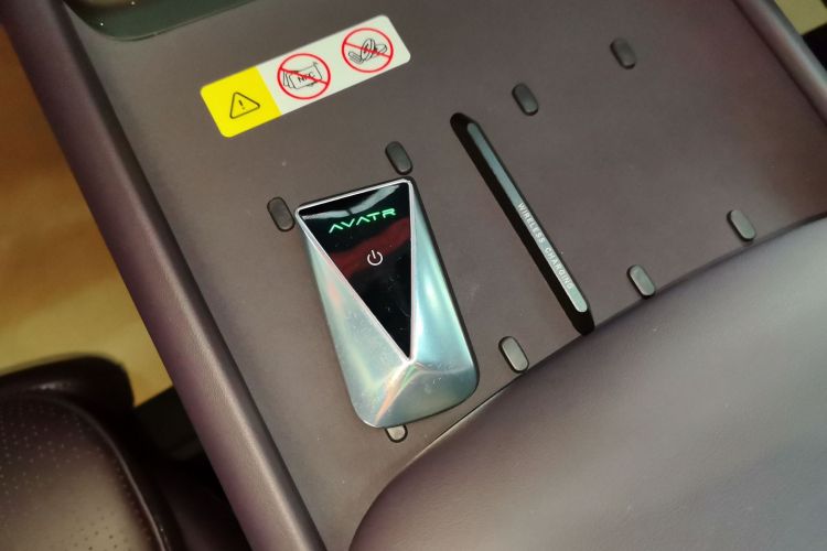 Used  06 2025 Max All-Electric Version
