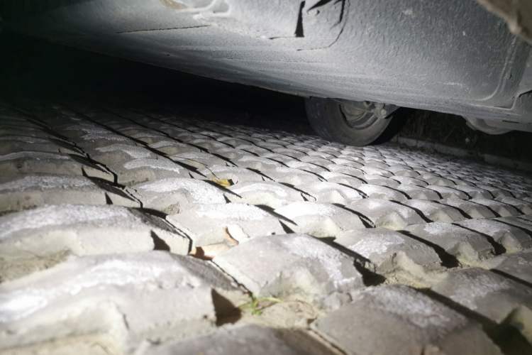 Used  Panda 2023 Panda Mini 200km Endurance Bear
