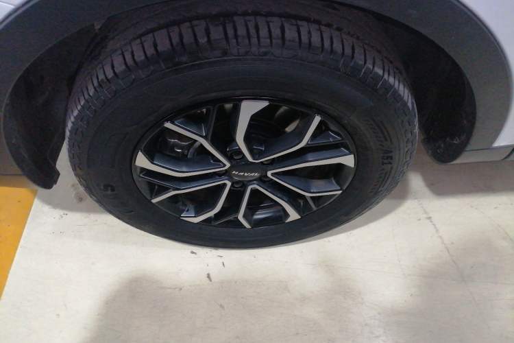 Used Haval H6 2023 National Trend Edition 1.5T Automatic Urban Version
