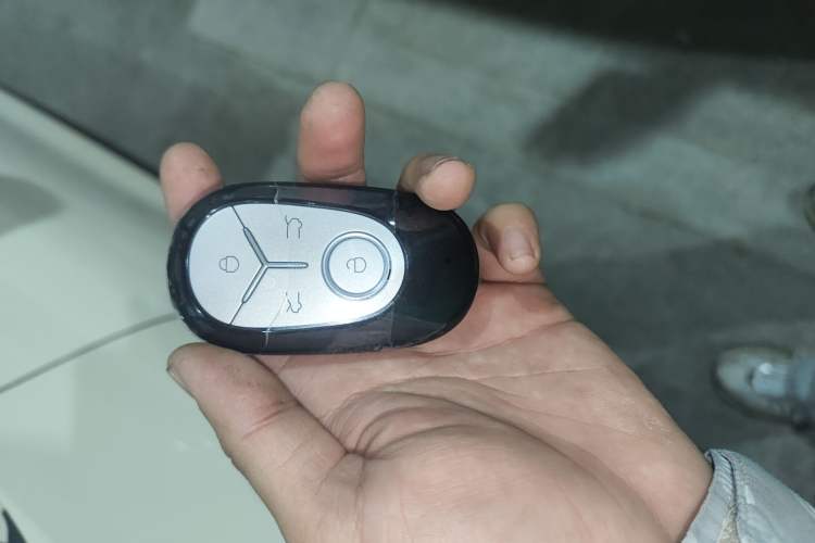 Used  Geome 2025 310km Youth Edition
