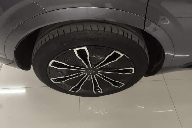 Used  07 2024 Max Extended-Range Edition