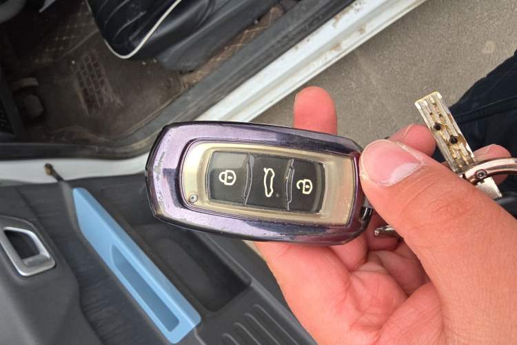 Used  Panda 2023 Panda Mini 200km Endurance Bear