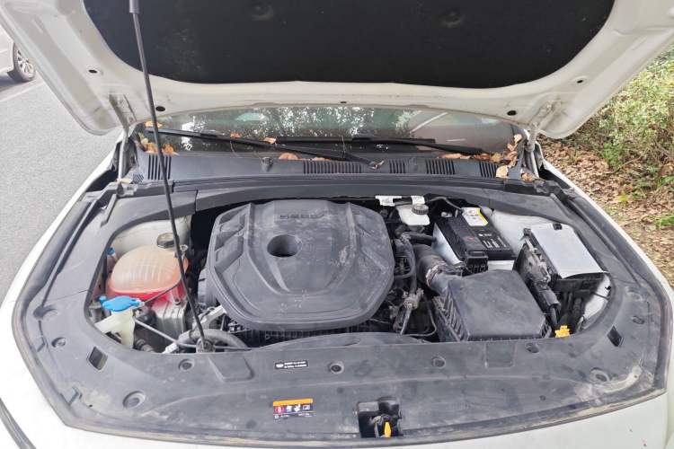 Used Geely Auto Preface 2021 2.0TD Elite Edition
