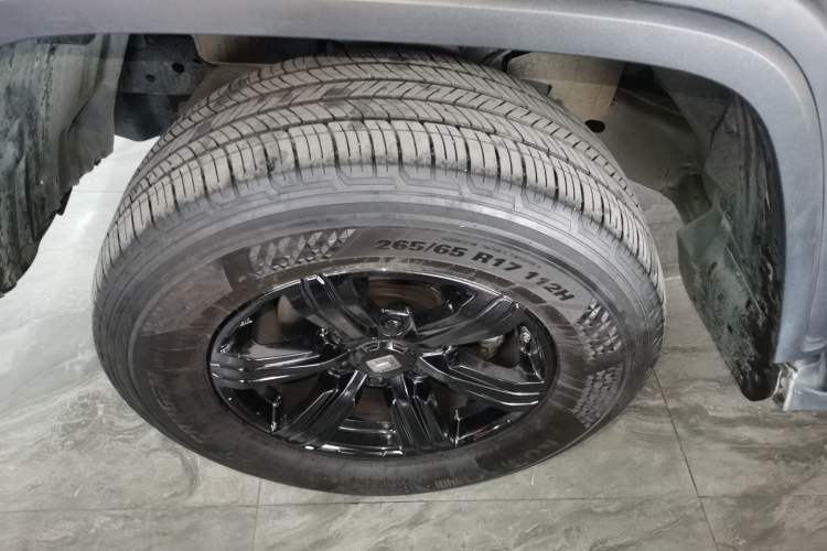 Used Tank 300 2023 Off-Road Edition 2.0T Conqueror
