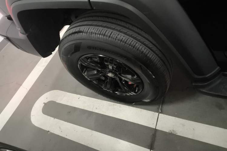 Used Tank 300 2024 2.0T Conqueror
