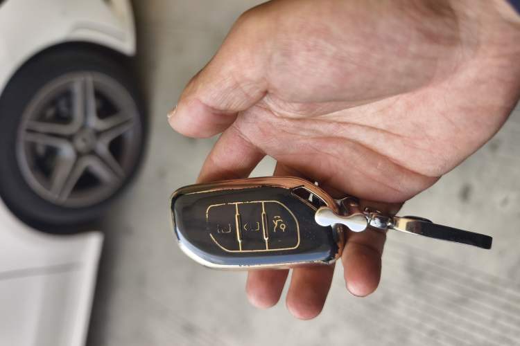 Used FORTHING Yacht 2022 1.5T DCT Chasing Wind Edition
