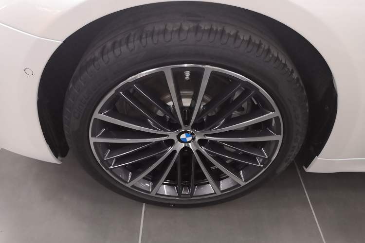 Used BMW 5 Series 2021 530Li Leading Model M Sport Package