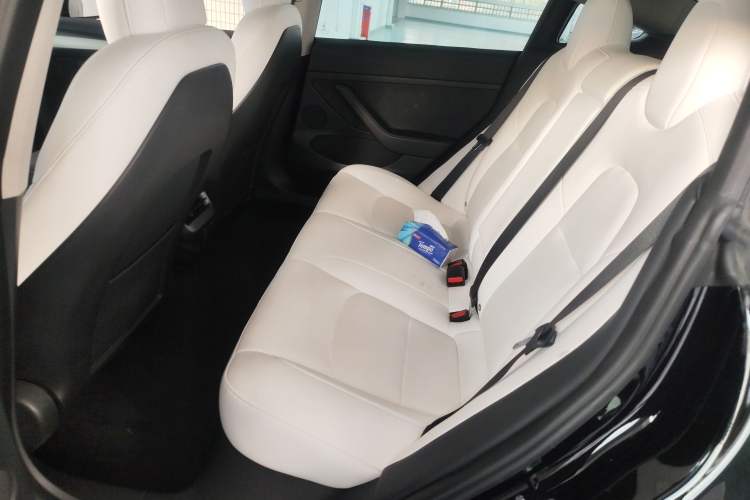 Used Tesla Model 3 2021 Standard Range Rear-Wheel Drive Upgraded Version 3D6
