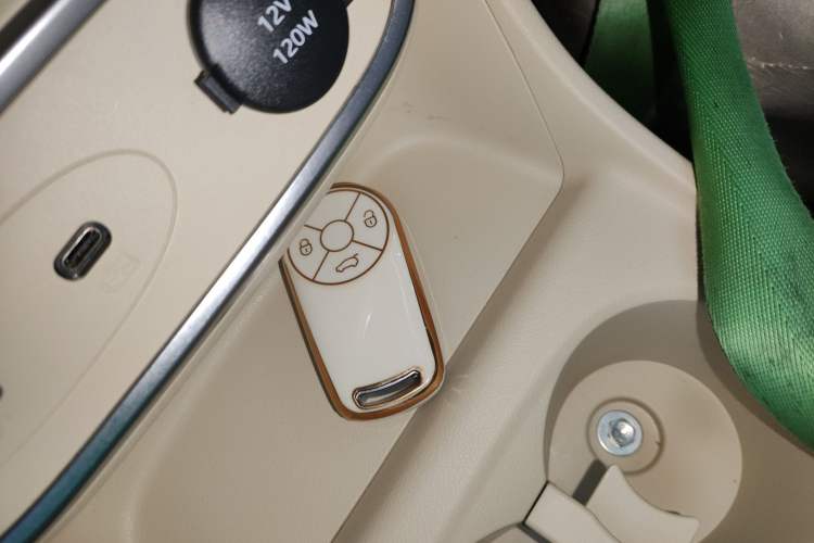 Used ORA Good Cat 2023 401 km Standard Range Luxury Version Lithium Iron Phosphate
