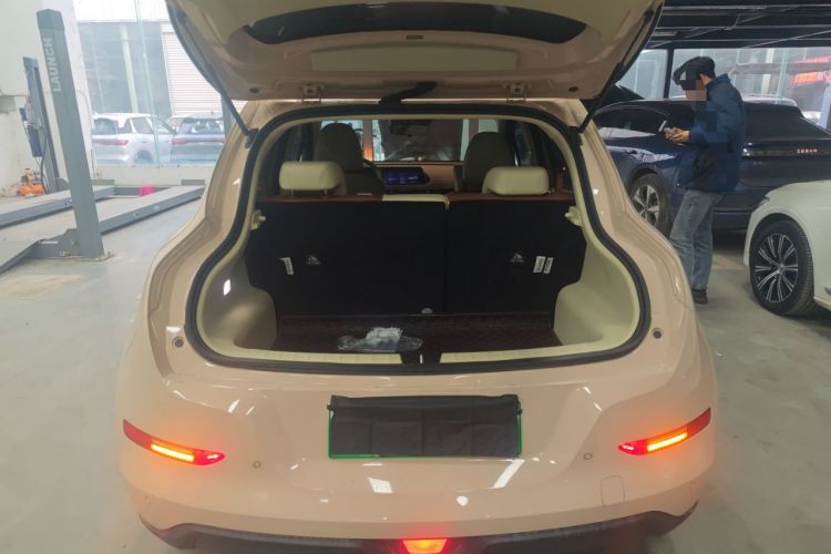 Used ORA Good Cat 2023 401 km Standard Range Luxury Version Lithium Iron Phosphate
