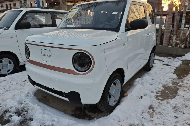 Used Geely Galaxy Panda 2024 Panda Mini 200km Endurance Bear
