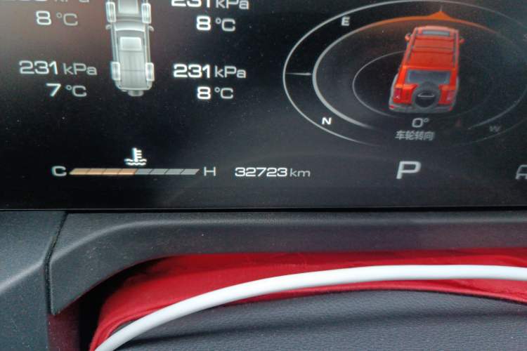 Used Tank 300 2024 2.0T Conqueror