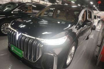 Used VOYAH Dream 2022 Low-Carbon Edition Home