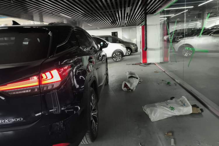 Used Lexus RX 2020 Facelifted 300 4x4 Elegant Edition
