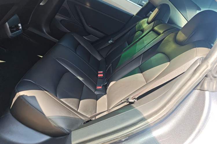 Used Tesla Model 3 2019 Standard Range Rear-Drive Upgraded Version