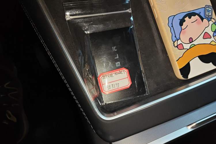 Used Tesla Model Y 2025 Long-Range All-Wheel-Drive Version