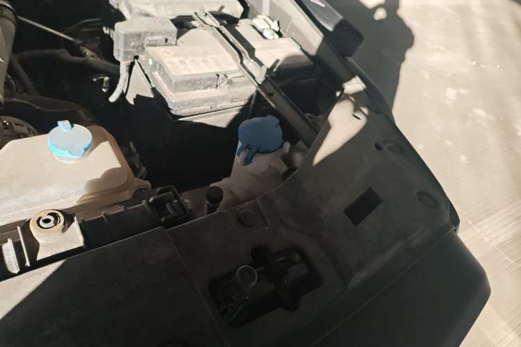 Used Tank 300 2023 2.0T Iron Rider 02
