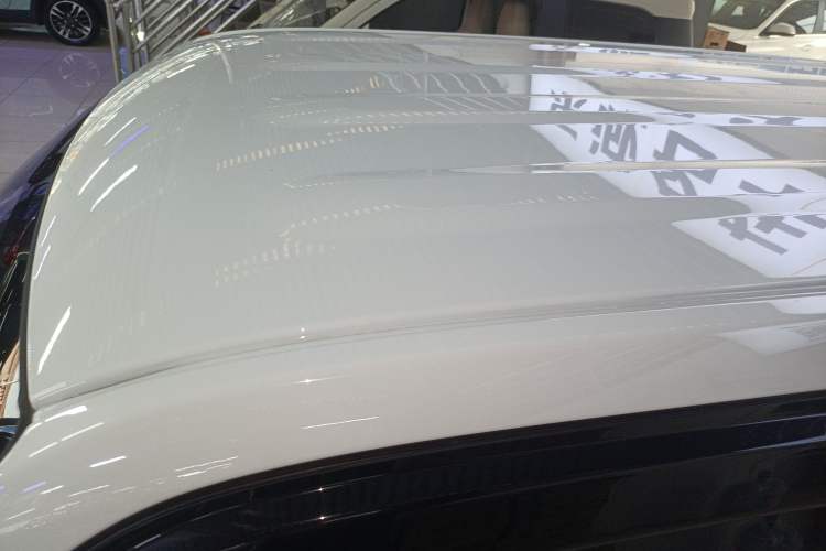 Used  Panda 2023 Panda Mini 200km Endurance Bear