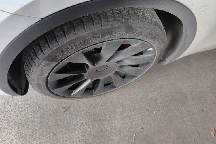 Used Tesla Model Y 2022 Rear-Wheel-Drive Version
