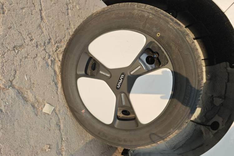 Used  Lumin 2024 130km Qingyue Version
