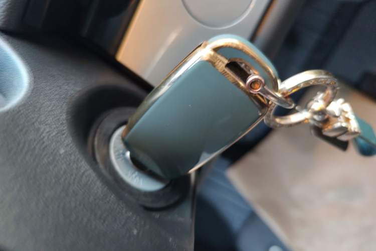 Used  Lumin 2025 205 km Xiangqin Version