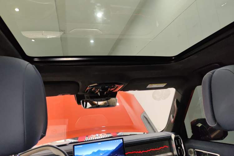 Used  Shanhai T2 2024 C-DM 208KM Mountain & Wilderness Edition
