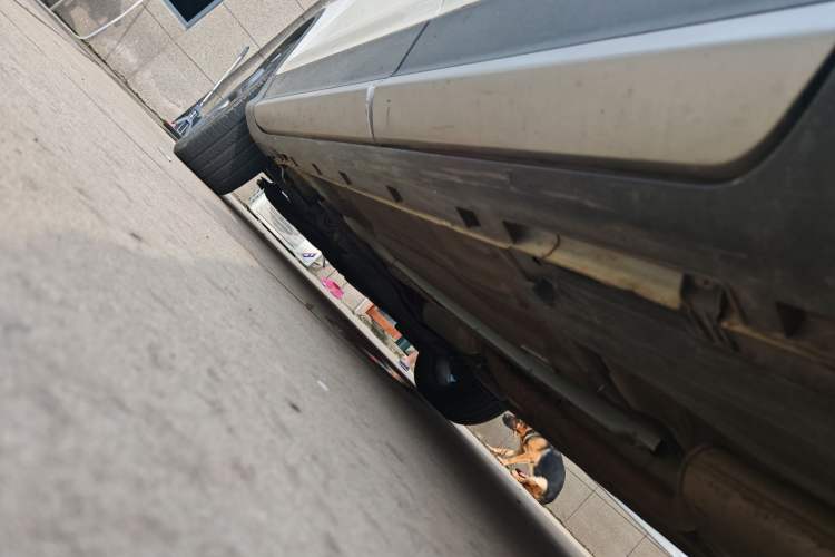 Used Ford Kuga 2018 EcoBoost 180 Two-Wheel-Drive Cognac Special Edition
