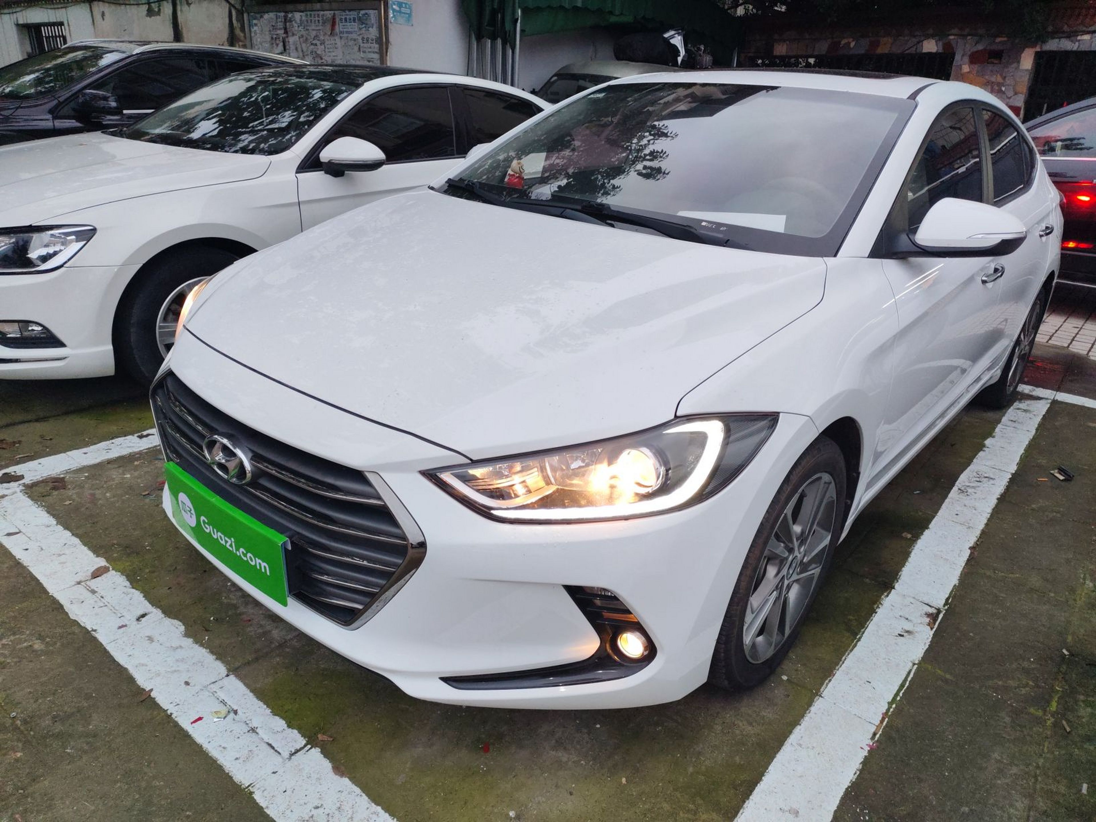 تحت مقدمة السيارة