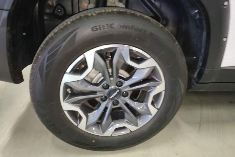 Used Haval DARGO 2024 2.0T DCT Chinese Rural Dog Edition