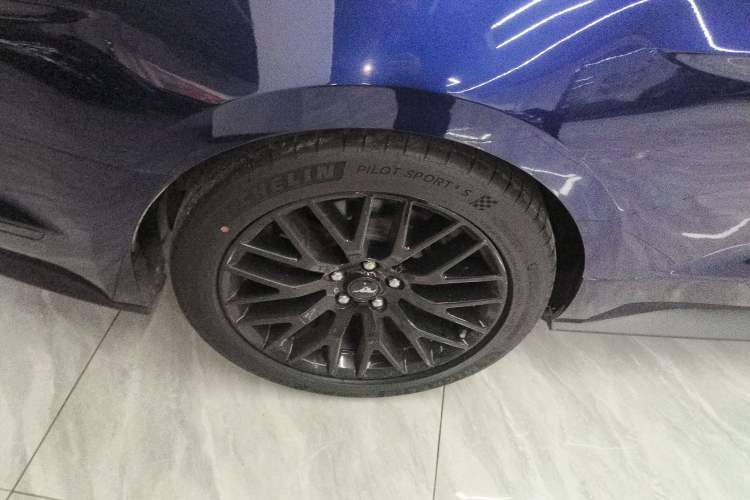 Used Ford Mustang 2019 5.0L V8 GT
