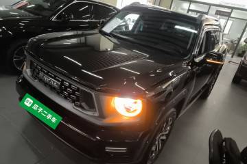 Used Haval  2023 2.0T Two-Wheel Drive Chaoye Version Plus
