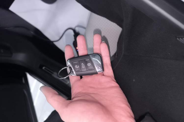 Used Volkswagen Magotan 2023 2 Million Units Commemorative Edition 330TSI DSG Luxury Version