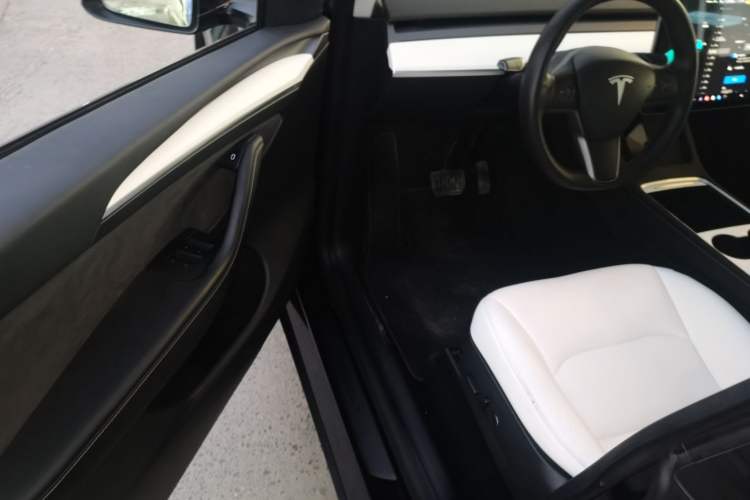 Used Tesla Model Y 2021 Standard Range Rear-Wheel Drive Version
