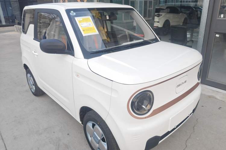 Used  Panda 2024 Panda Mini 200km Endurance Bear