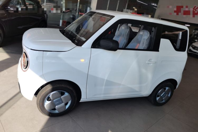 Used  Panda 2024 Panda Mini 200km Endurance Bear