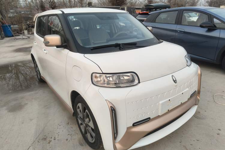 Used ORA White Cat 2022 Xiaoyue Mao Edition 360 km Luxury Model Lithium NMC
