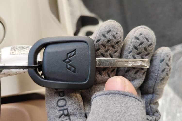 Used Wuling Hongguang MINIEV 2024 3rd Generation 215km Youth Edition
