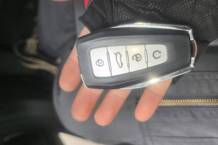 Used Geely Auto Monjaro L 2023 2.0TD High-Power Automatic Two-Wheel Drive Flagship Version
