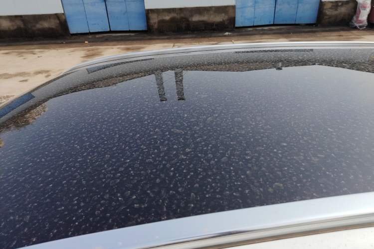 Used Hima H5 2025 Model Pure Electric Pro