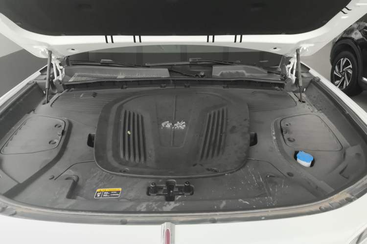 Used Hongqi E-HS9 2022 660 km Range Flagway Edition Six Seats
