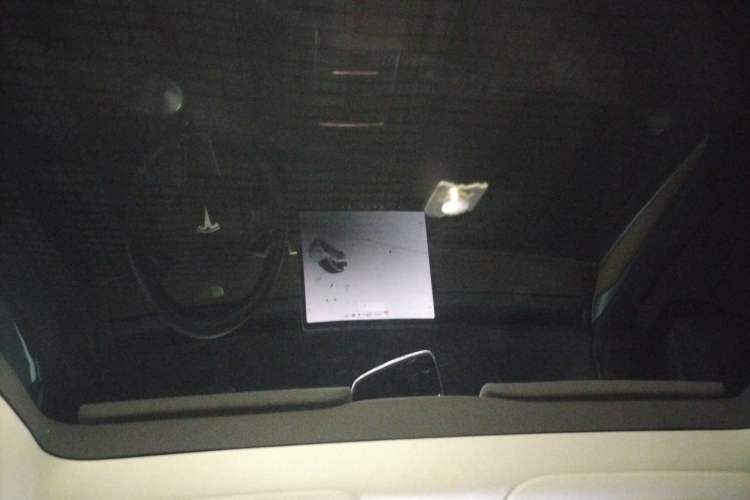 Used Tesla Model Y 2021 Long-Range All-Wheel-Drive Version
