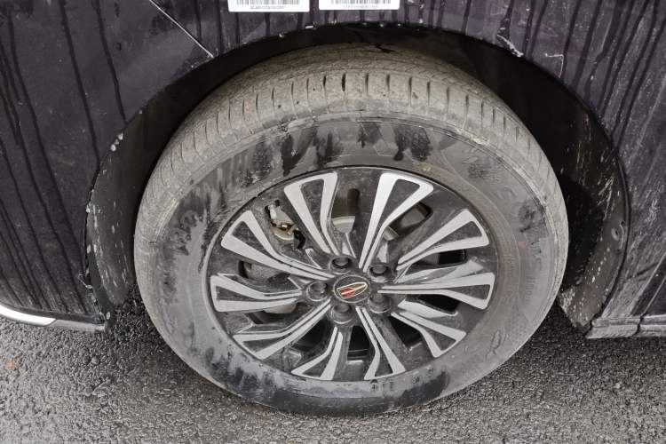 Used Hongqi HQ9 PHEV 2024 2.0T Four-Wheel Drive Business Edition
