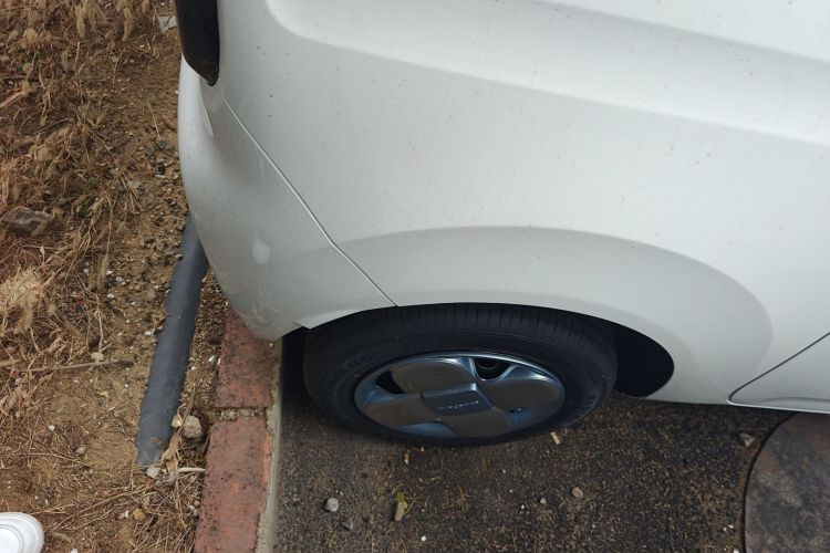 Used  Panda 2024 Panda Mini 200km Endurance Bear