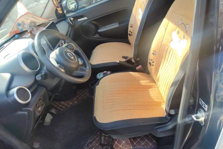 Used ORA Black Cat 2019 310km Fun Edition