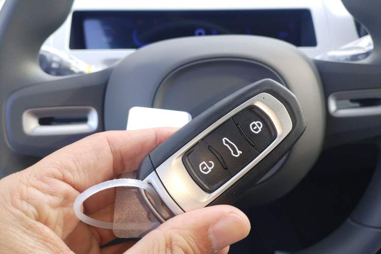 Used  Panda 2025 210 km – Yuanqi Bear